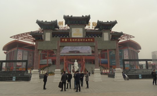 27.藥業(yè)公司總經(jīng)理杜海宇攜團隊考察中藥材市場_副本.jpg 27.藥業(yè)公司總經(jīng)理杜海宇攜團隊考察中藥材市場_副本.jpg