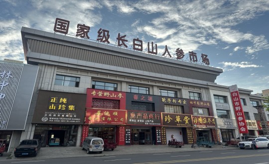 23.藥業(yè)公司深入人參市場考察調(diào)研_副本.jpg 23.藥業(yè)公司深入人參市場考察調(diào)研_副本.jpg