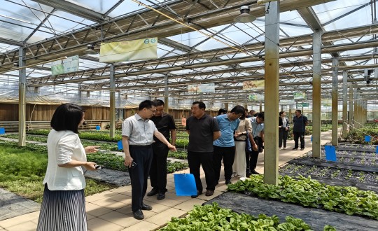 2024年6月27日，中國綠色食品發(fā)展中心相關(guān)領(lǐng)導(dǎo)蒞臨農(nóng)業(yè)總公司考察調(diào)研_副本.jpg